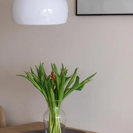 Bandurskiego Studio Szczecin
